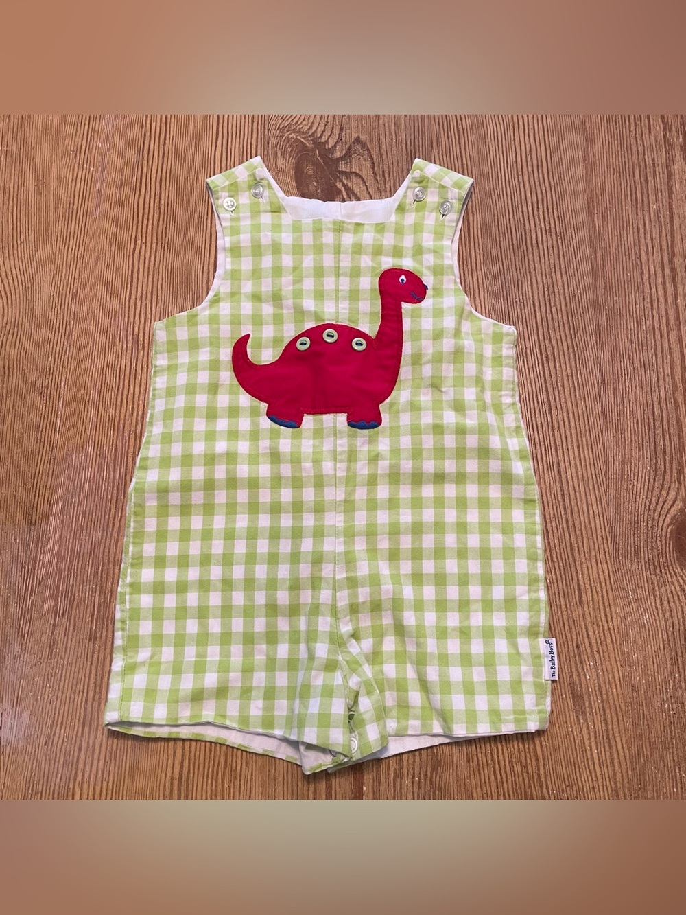 The Bailey Boys Green Gingham Baby Romper with Red Dinosaur Applique